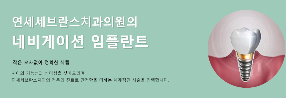이미지명